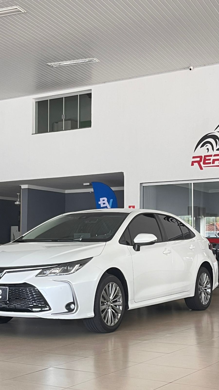 WhatsApp Image 2026-02-20 at 16.34.13 (3)