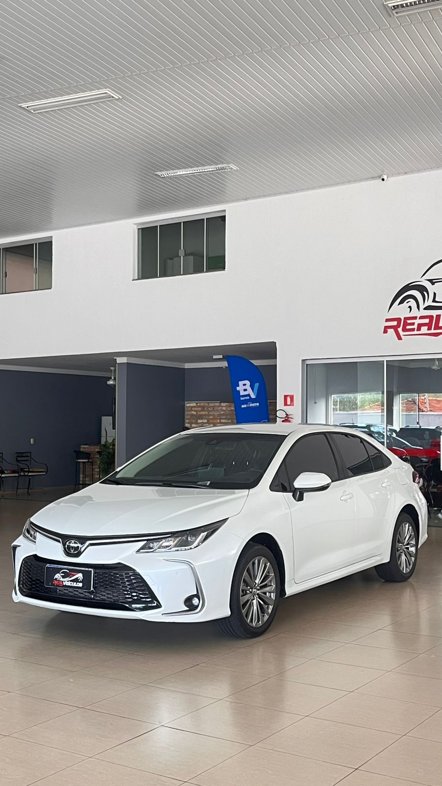 WhatsApp Image 2026-02-20 at 16.34.13