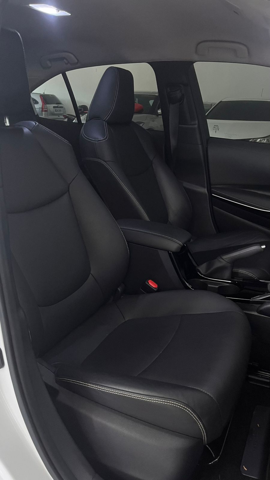 WhatsApp Image 2026-02-20 at 16.34.14 (1)