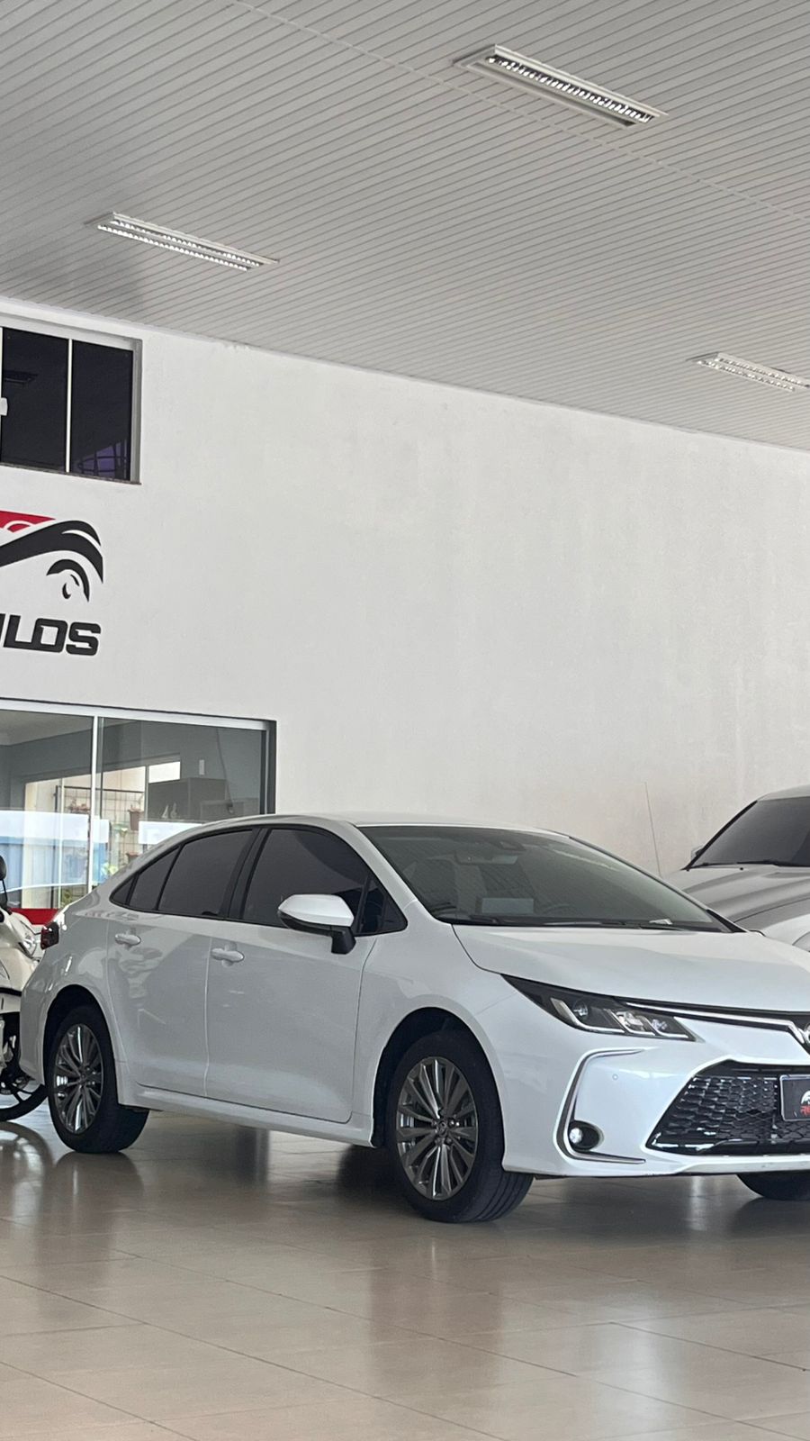 WhatsApp Image 2026-02-20 at 16.34.14