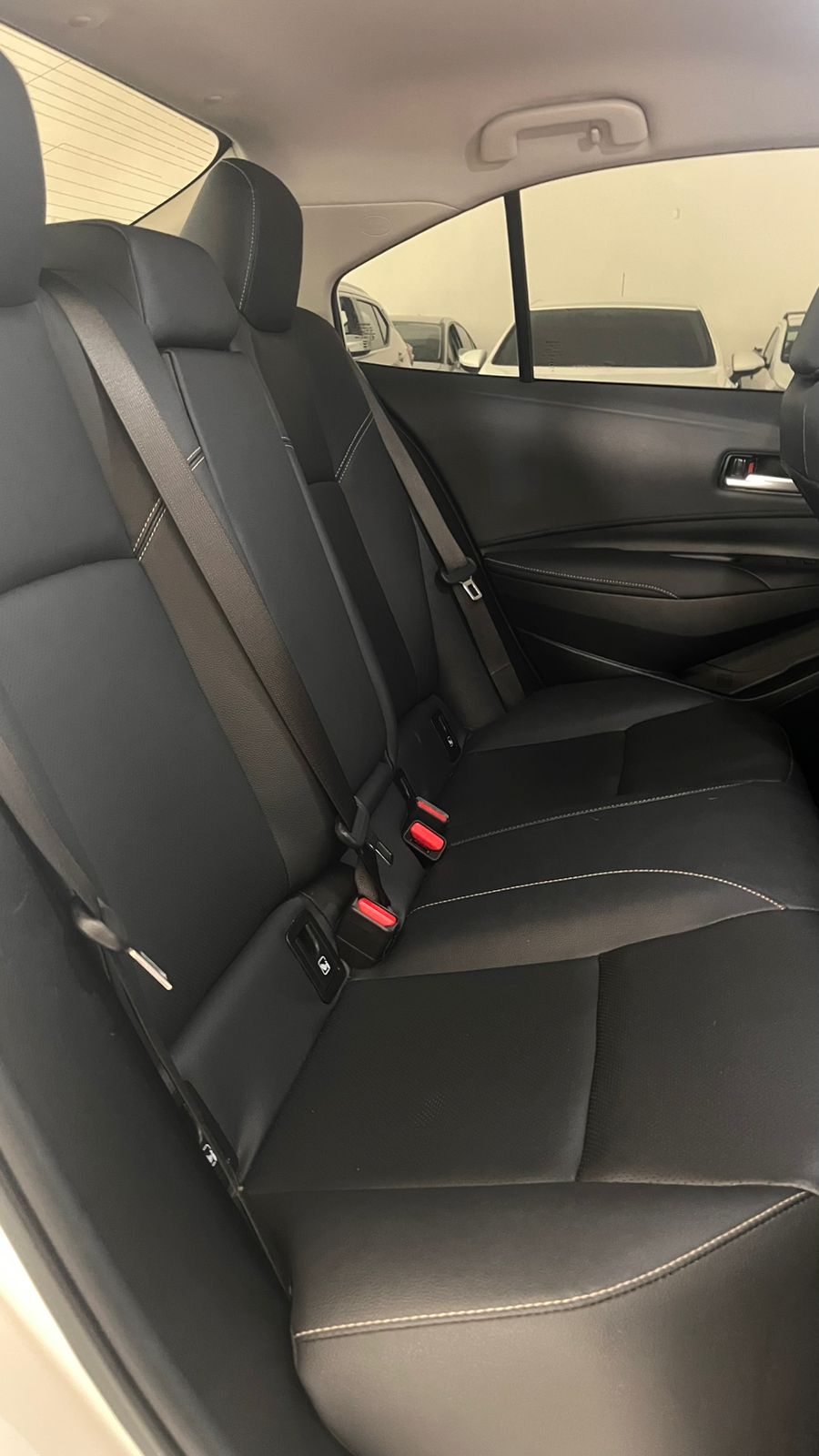 WhatsApp Image 2026-02-20 at 16.34.15