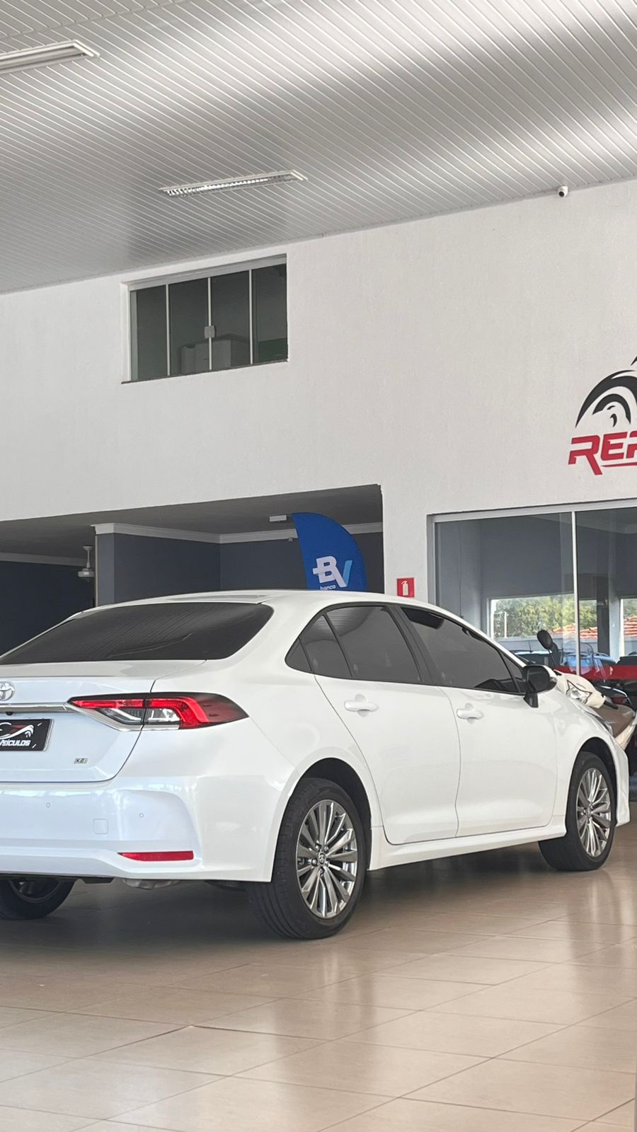 WhatsApp Image 2026-02-20 at 16.34.17 (1)