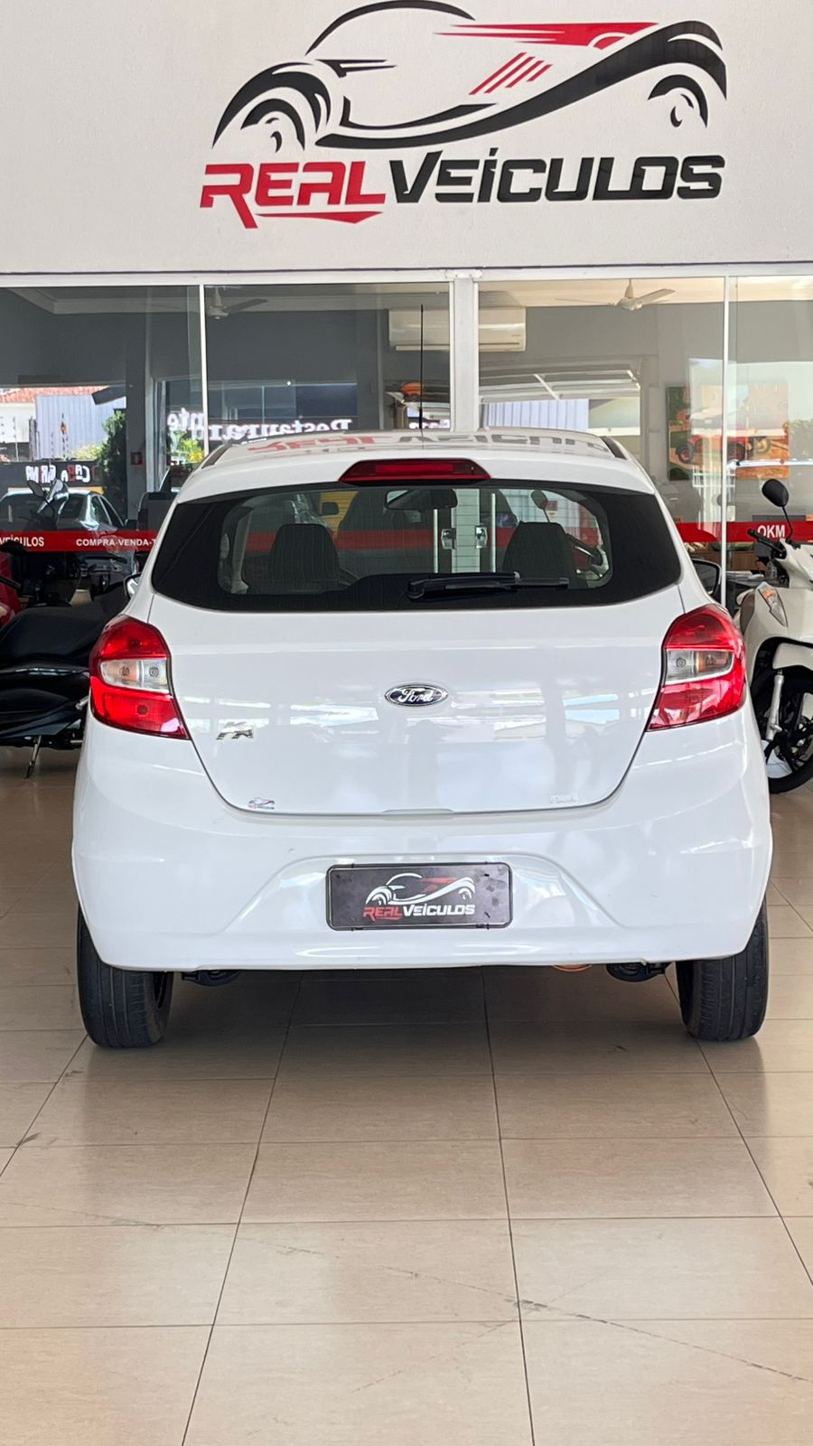 WhatsApp Image 2026-02-16 at 13.26.17